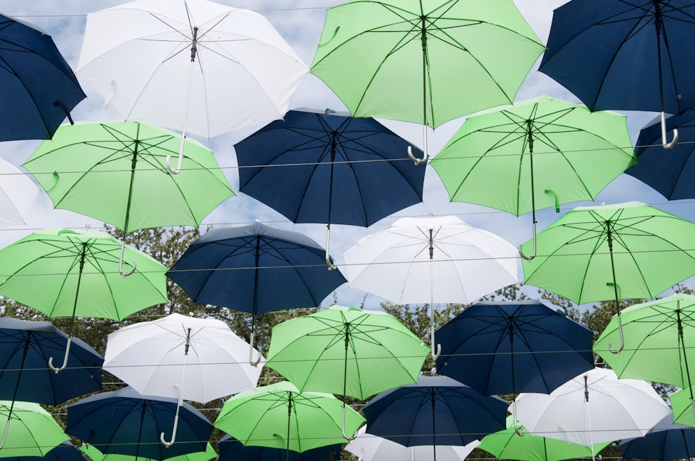 black umbrella under blue sky during daytime