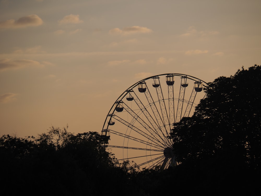 silhouette of ferris wheel during sunset