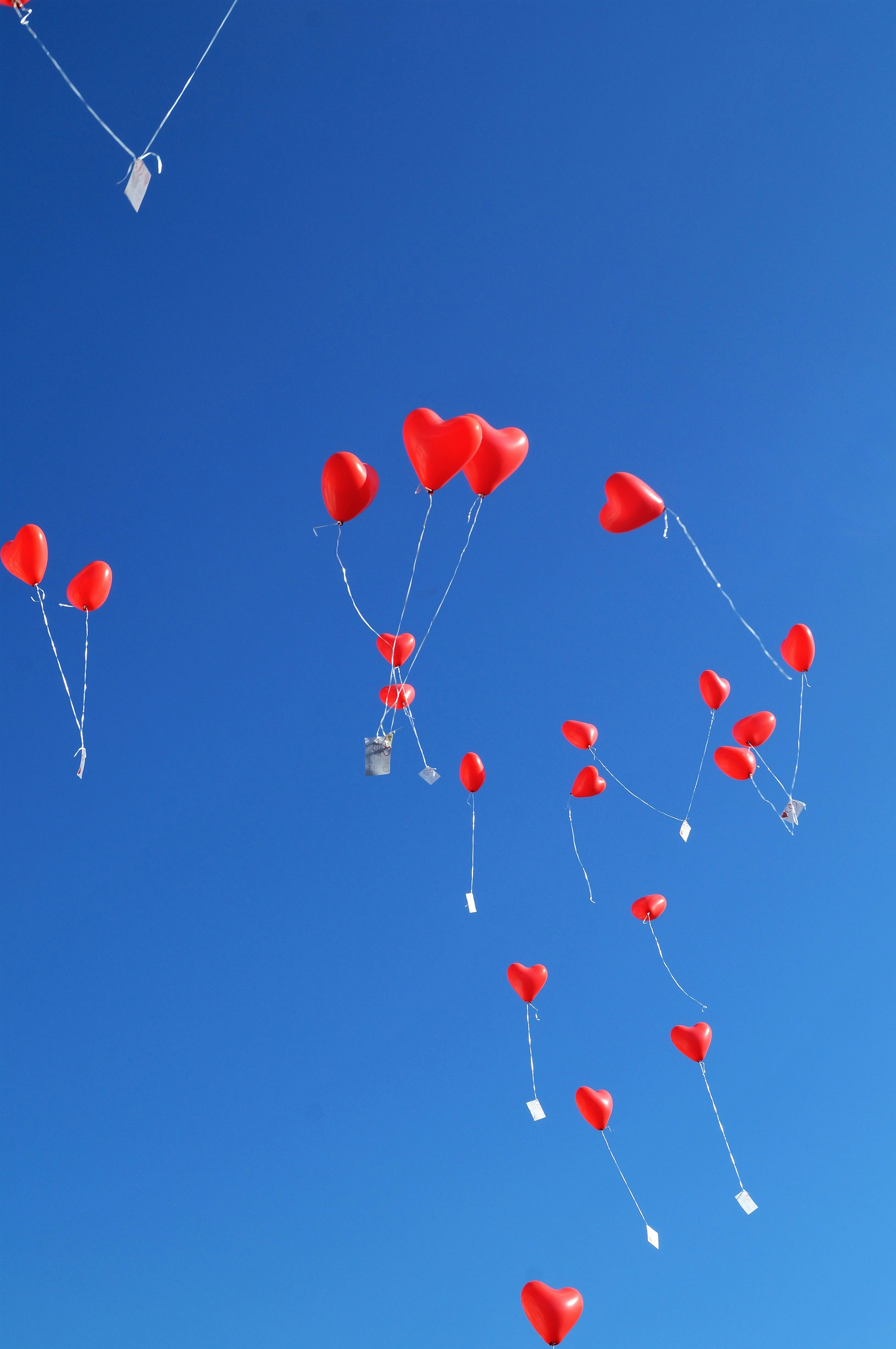 Love Balloon Pictures Download Free Images On Unsplash