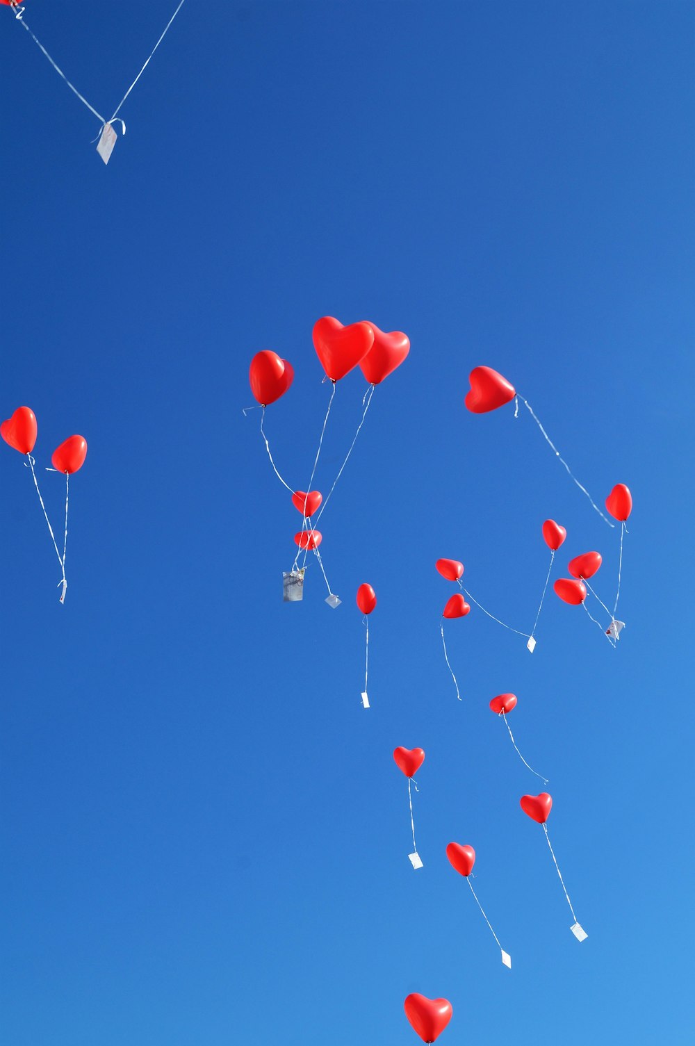 red balloons on blue sky during daytime