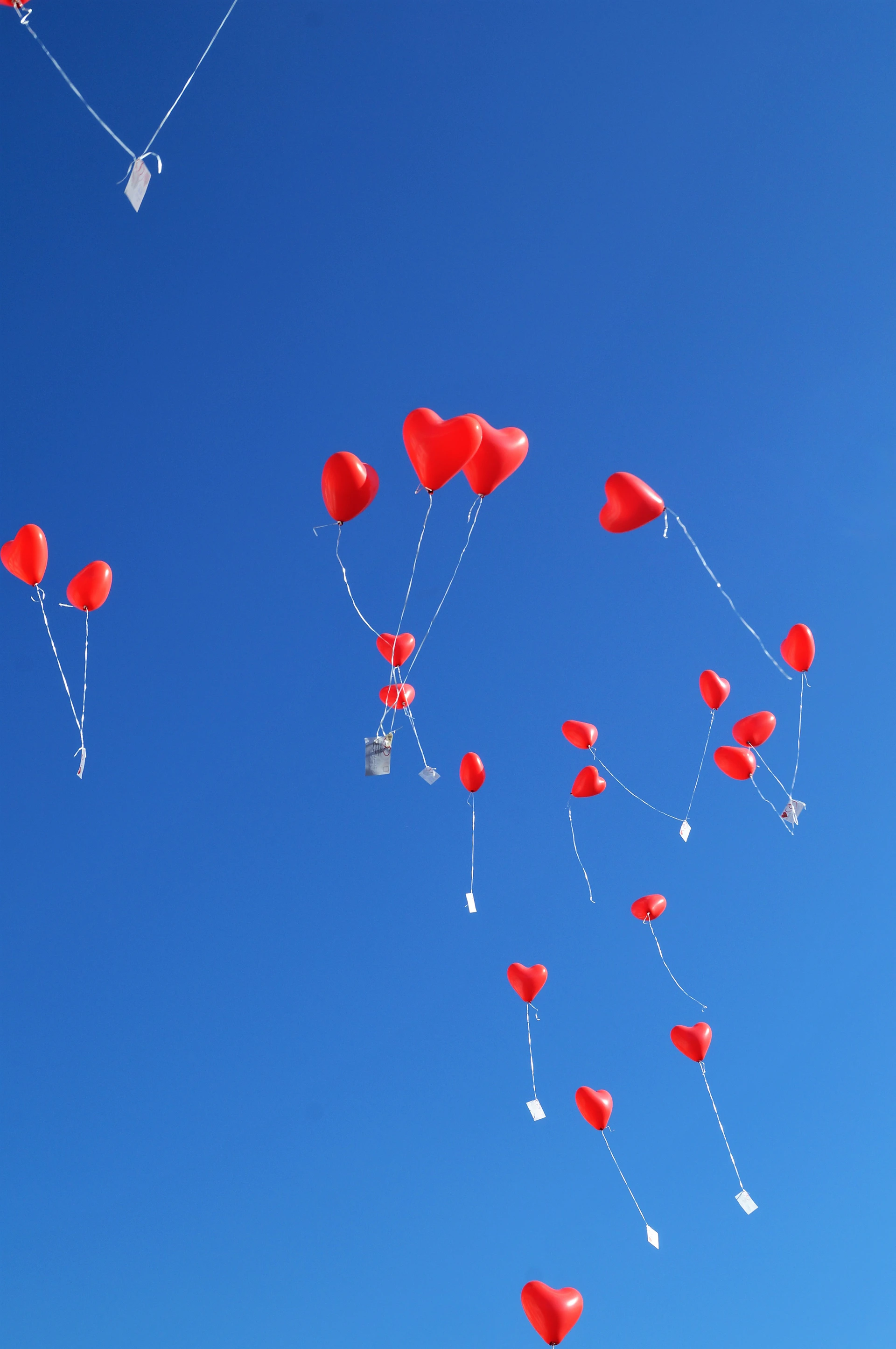 red balloons on blue sky during daytime