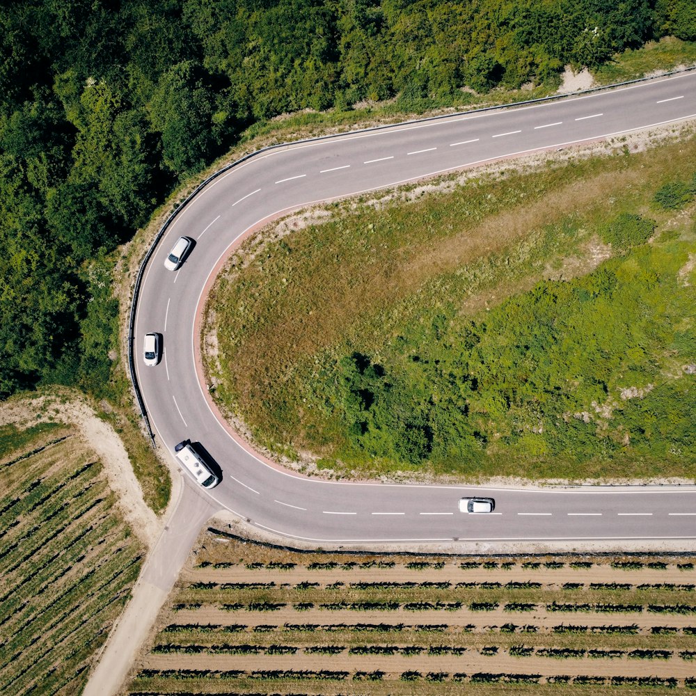 aerial view of road in the middle of green trees