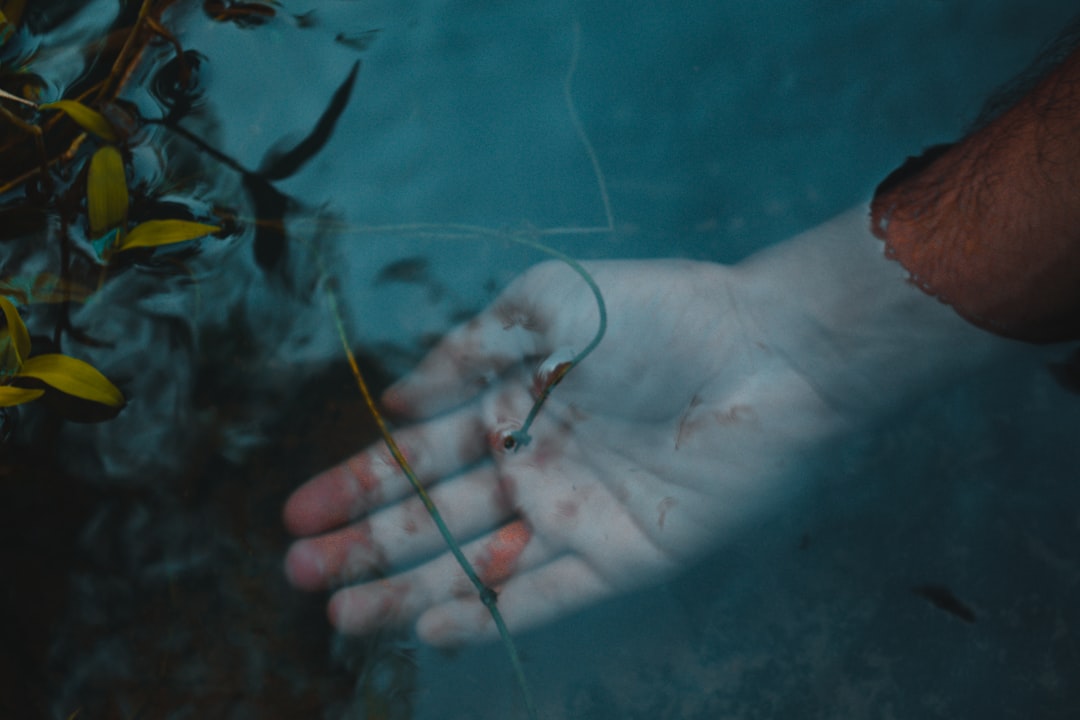 Underwater photo spot Palakkad India