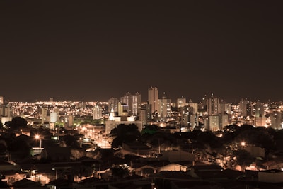 A bustling city skyline illuminated at night.