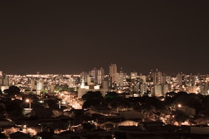 A bustling city skyline at night, illuminated.