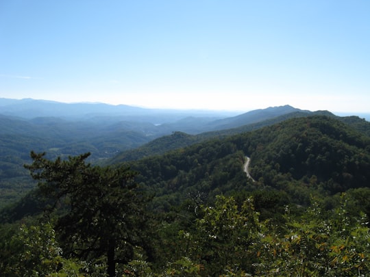 green trees on mountain under blue sky during daytime in Great Smoky Mountains National Park United States