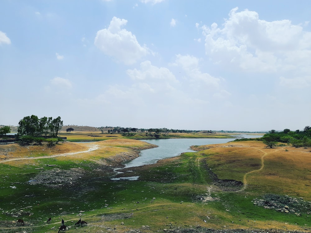 green grass field near body of water under blue sky during daytime