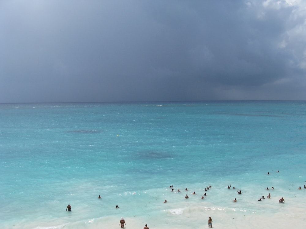 people on beach during daytime