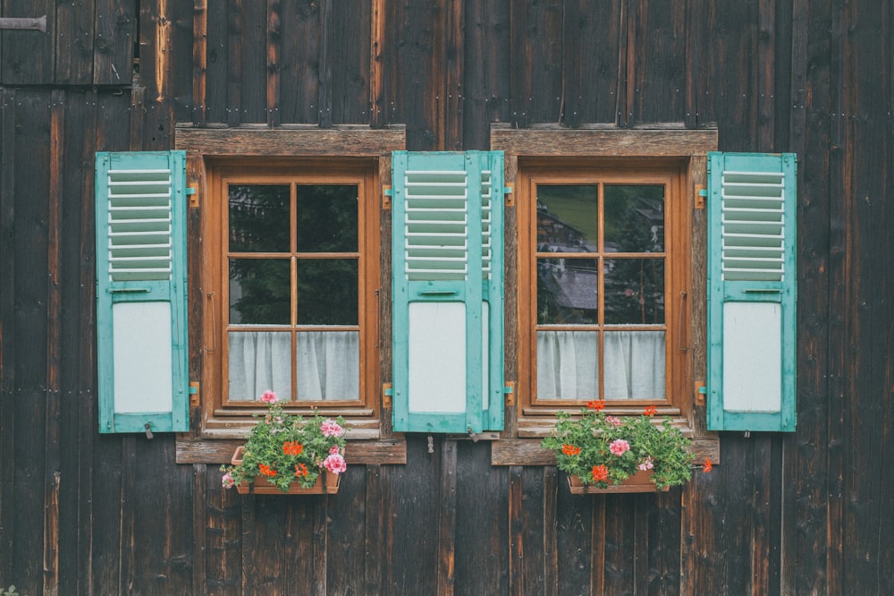 blue wooden window frame with red flower on top