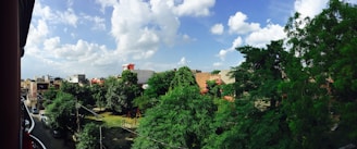 A vibrant street view of B-17 Islamabad with residential buildings and greenery.
