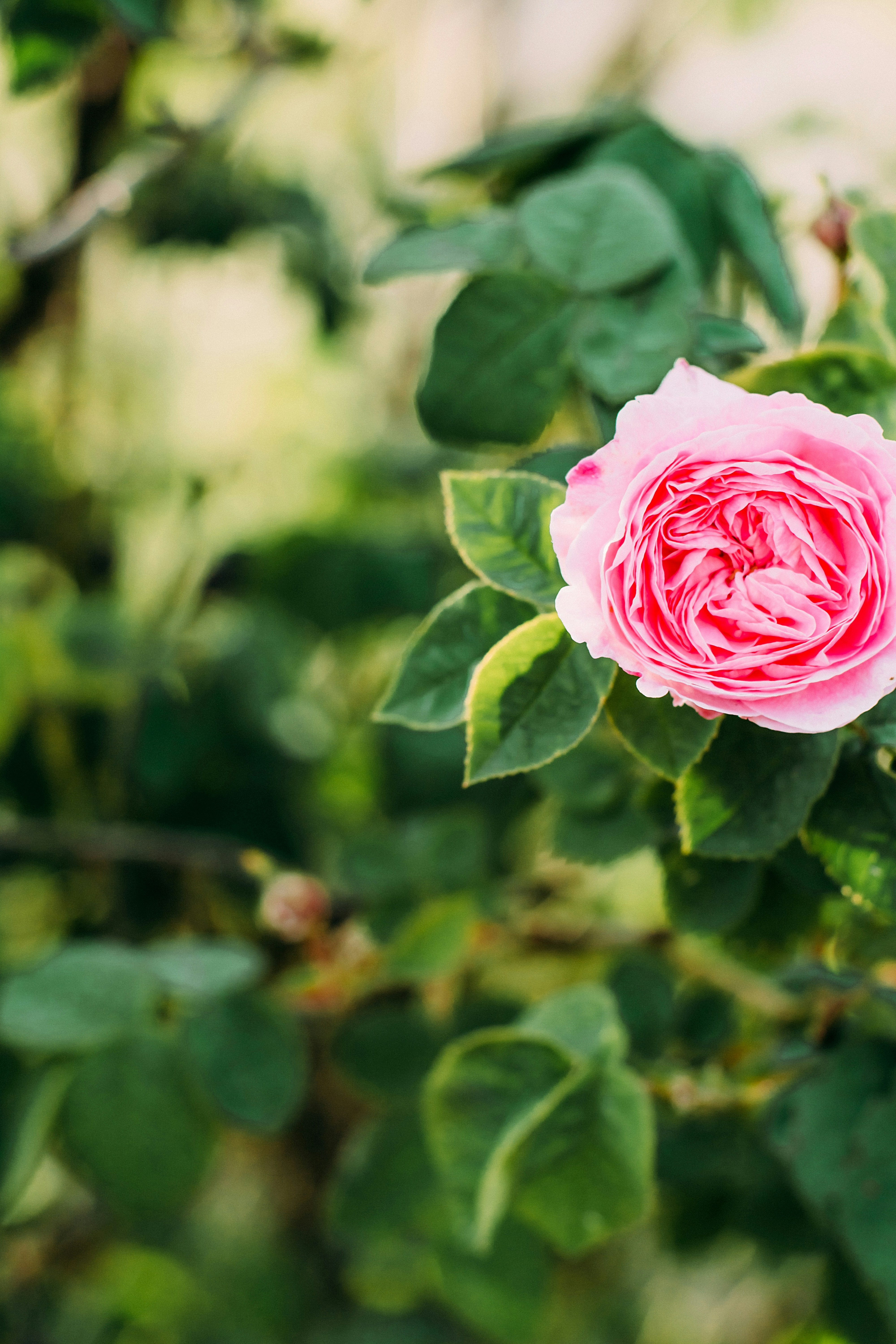 Photo by eugenivy_now