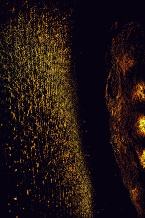 A textured surface with a golden hue occupies the left side of the image, appearing rough and fibrous. To the right, a darker, more rustic texture with abstract patterns in shades of orange and brown contributes to an earthy and mysterious feel.