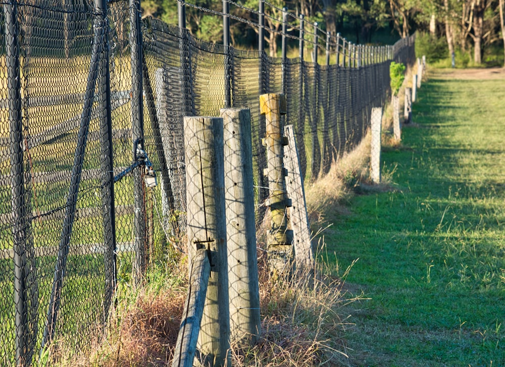 grey metal fence on green grass field during daytime