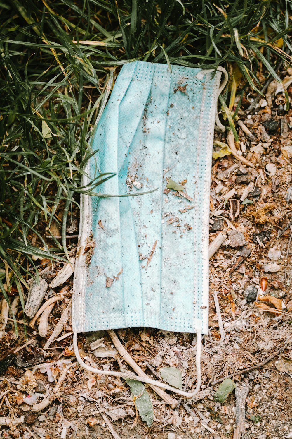 white textile on brown dried leaves