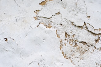 Close-up of a textured wall created by skilled painters.