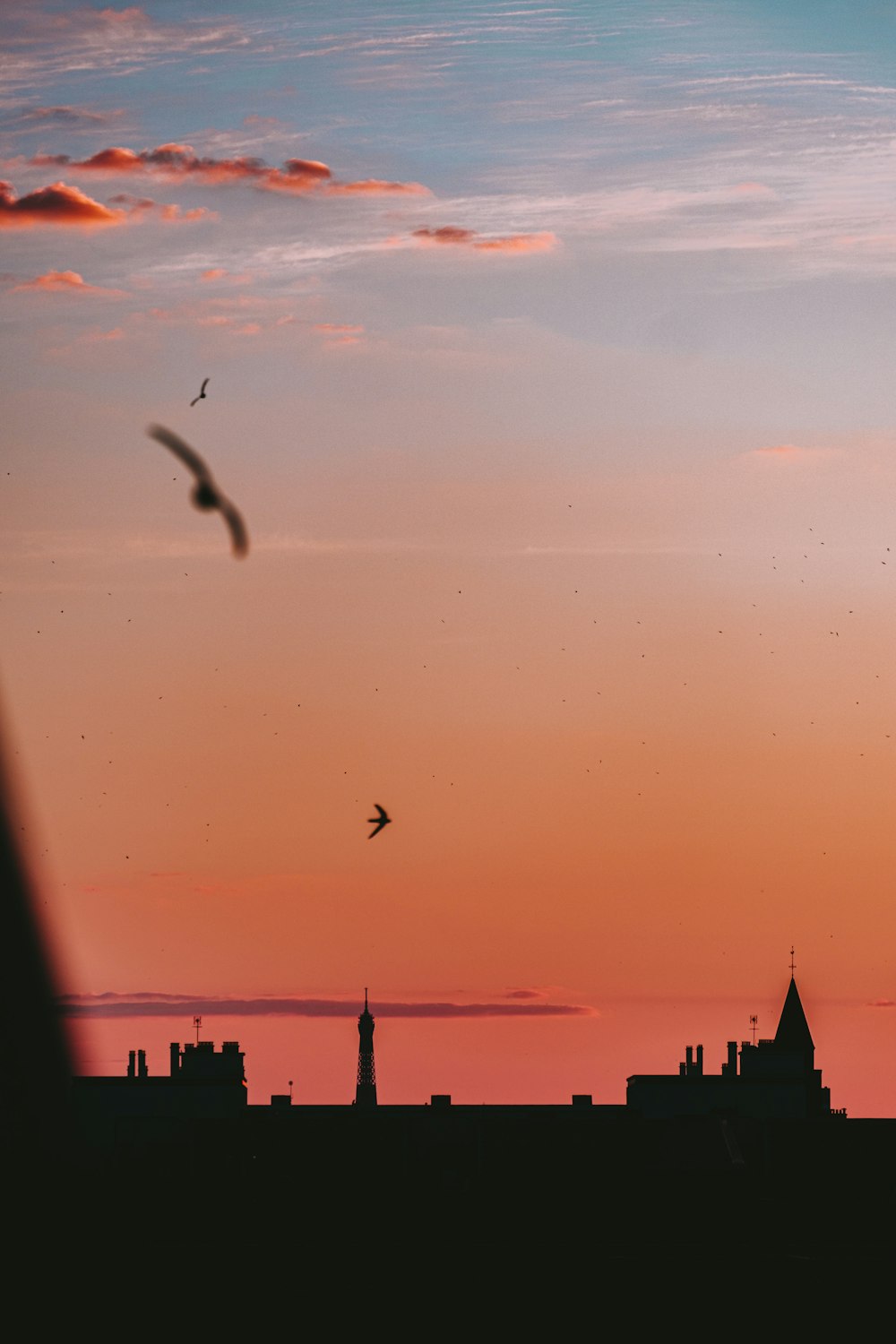 silhouette of city skyline during sunset