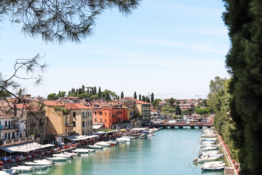 brown and white concrete buildings near body of water during daytime in Verona Italy