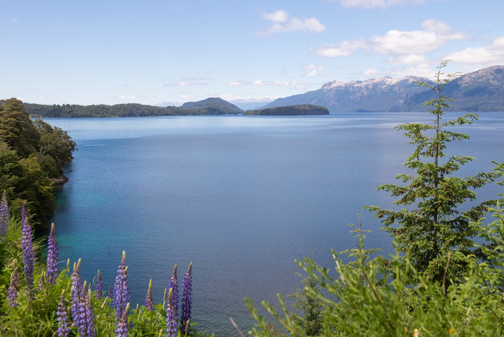 blue lake surrounded by mountains under blue sky during daytime