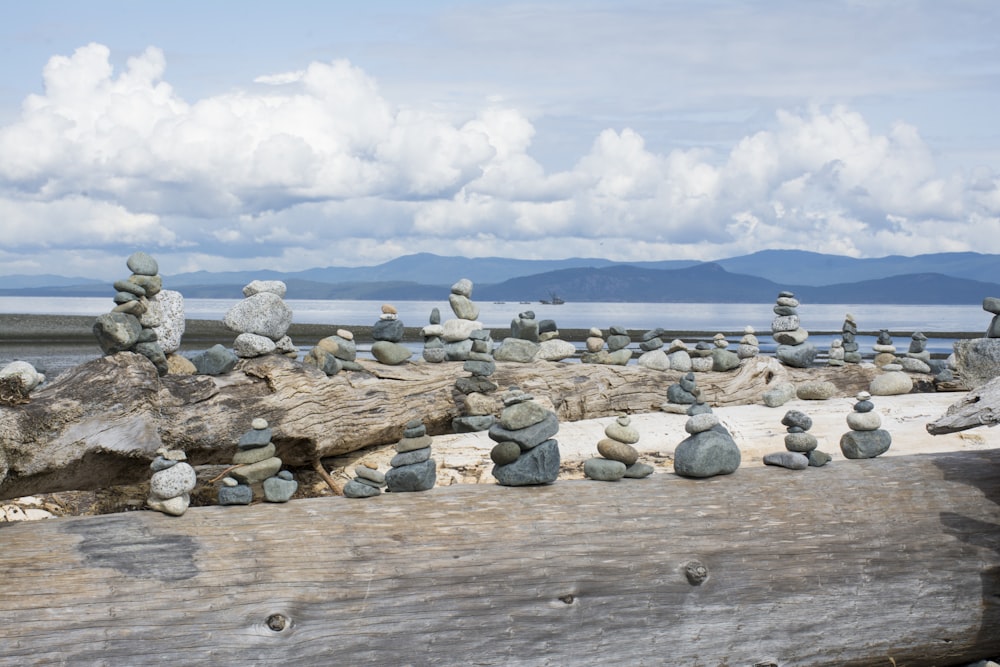 rocce grigie su sabbia grigia sotto nuvole bianche e cielo blu durante il giorno