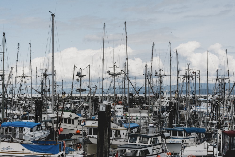 white and blue boat on dock during daytime