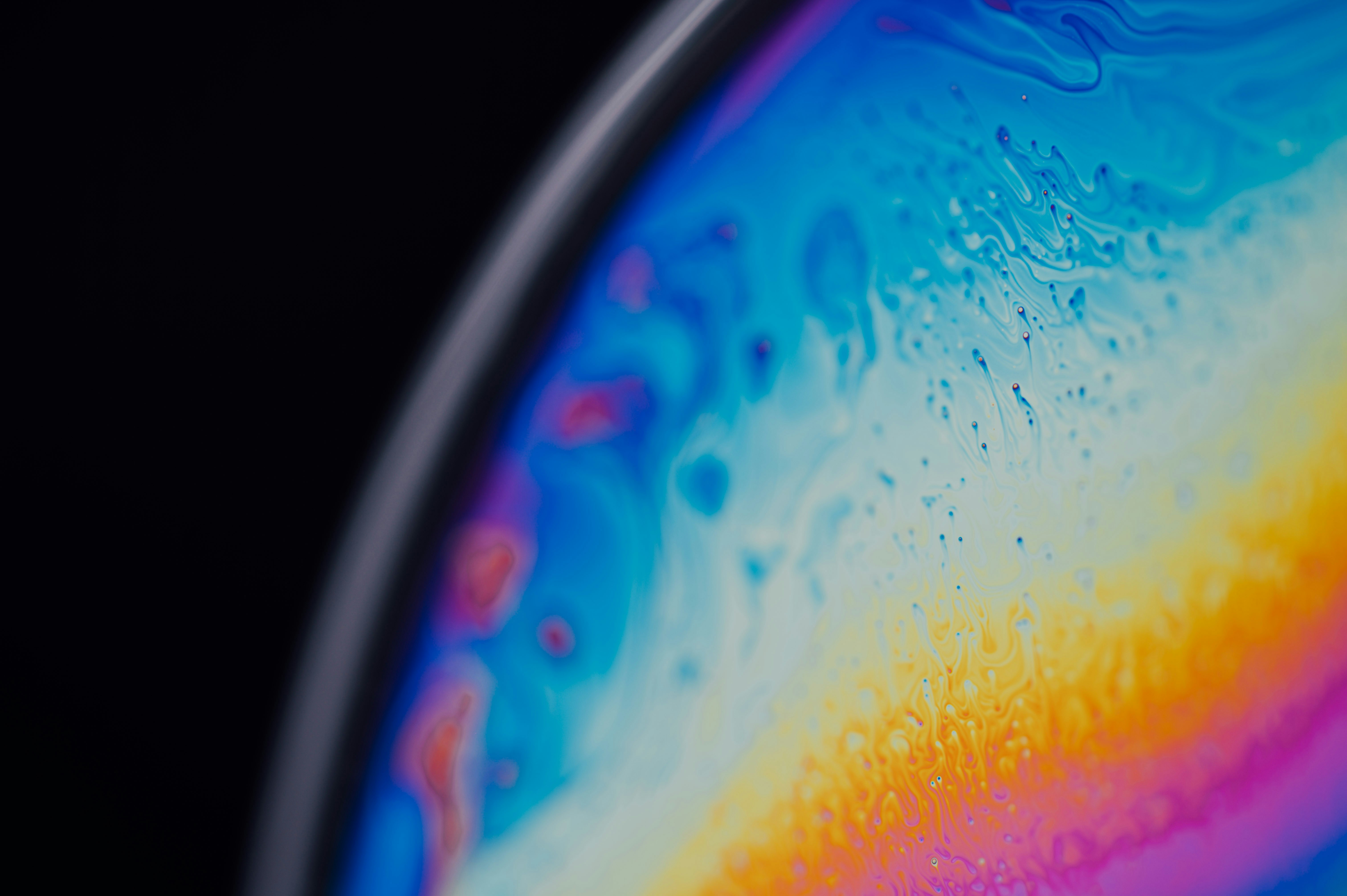 Photo by chuttersnap