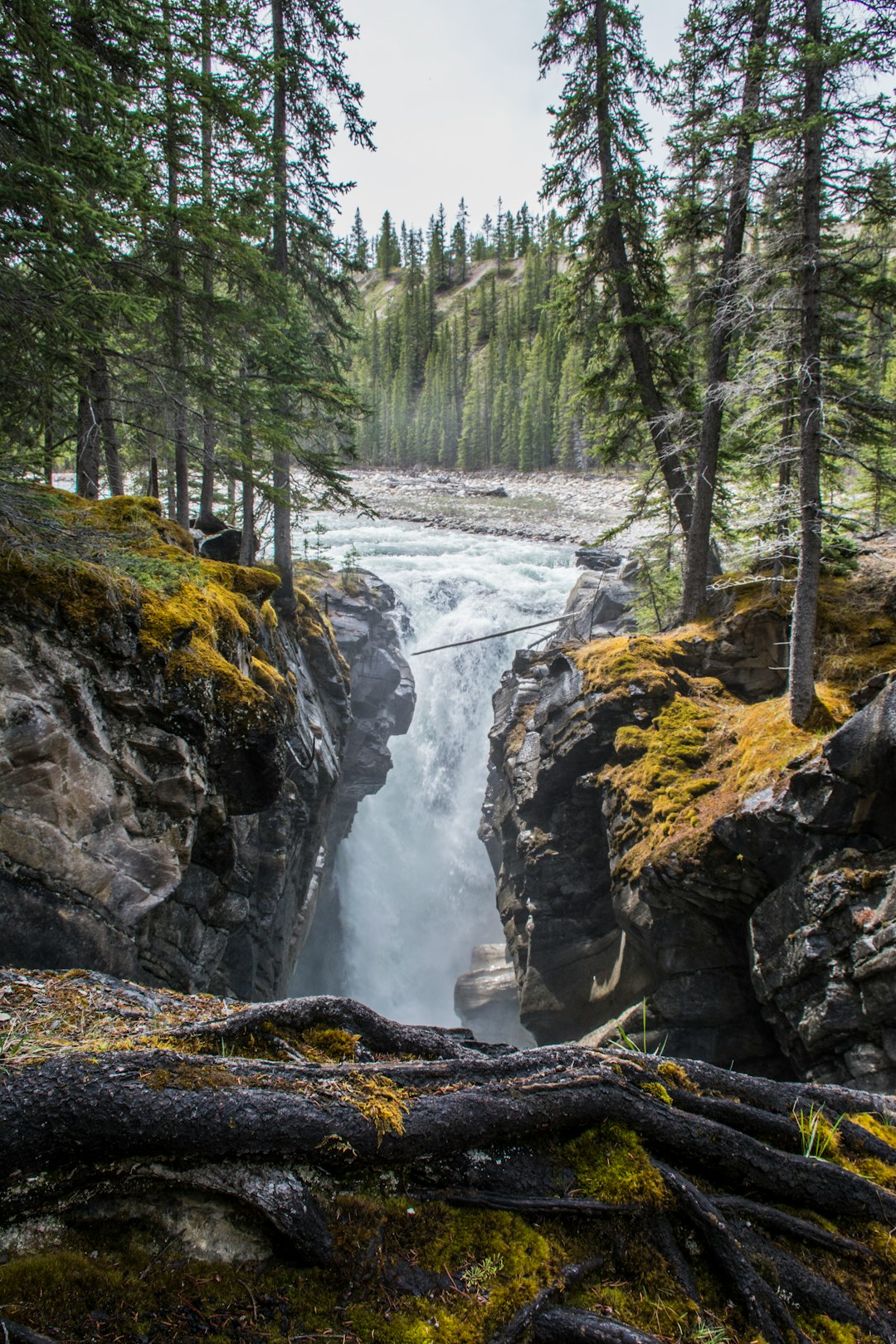 Waterfall photo spot Siffleur Falls Mistaya Canyon