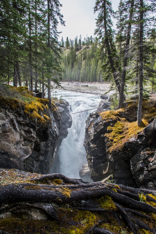 photo of Siffleur Falls Waterfall near Crescent Falls