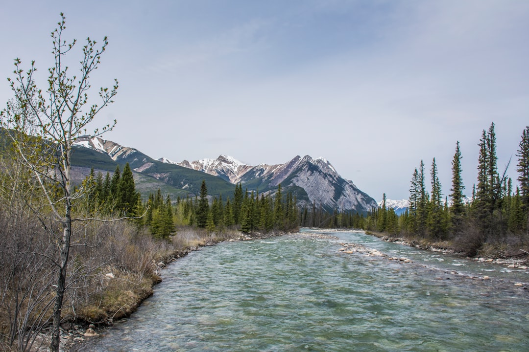 River photo spot Siffleur River Yoho National Park