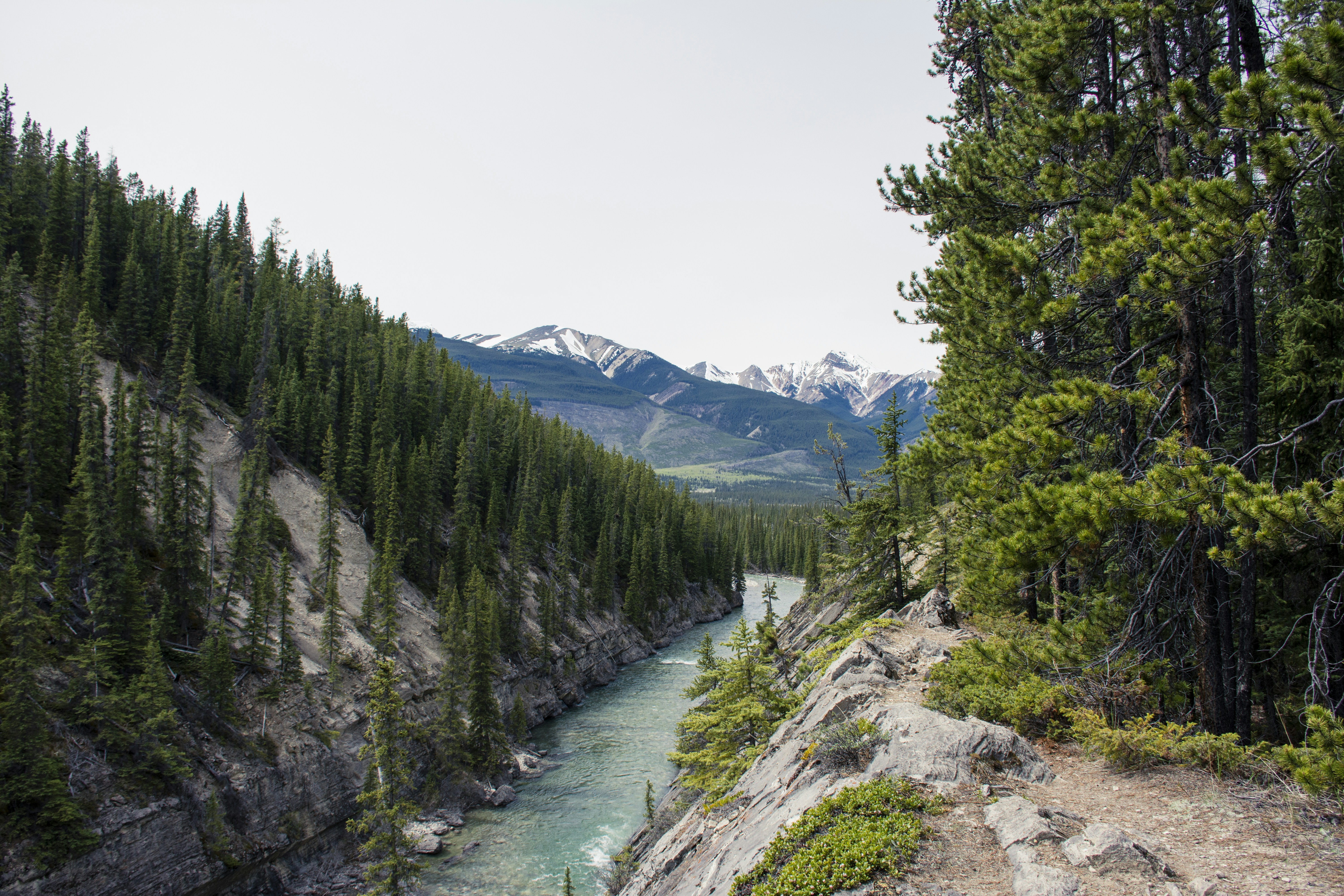 Remembering John Gierach