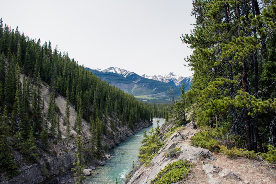 Nature reserve photo spot Siffleur River Emerald Lake