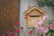 A cozy wooden mailbox nestled among wildflowers under soft spring sunlight.