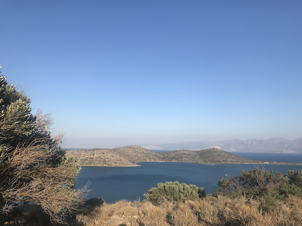 green trees near body of water under blue sky during daytime