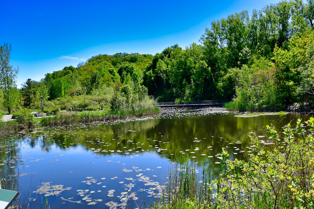 Nature reserve photo spot Evergreen Brick Works Kitchener