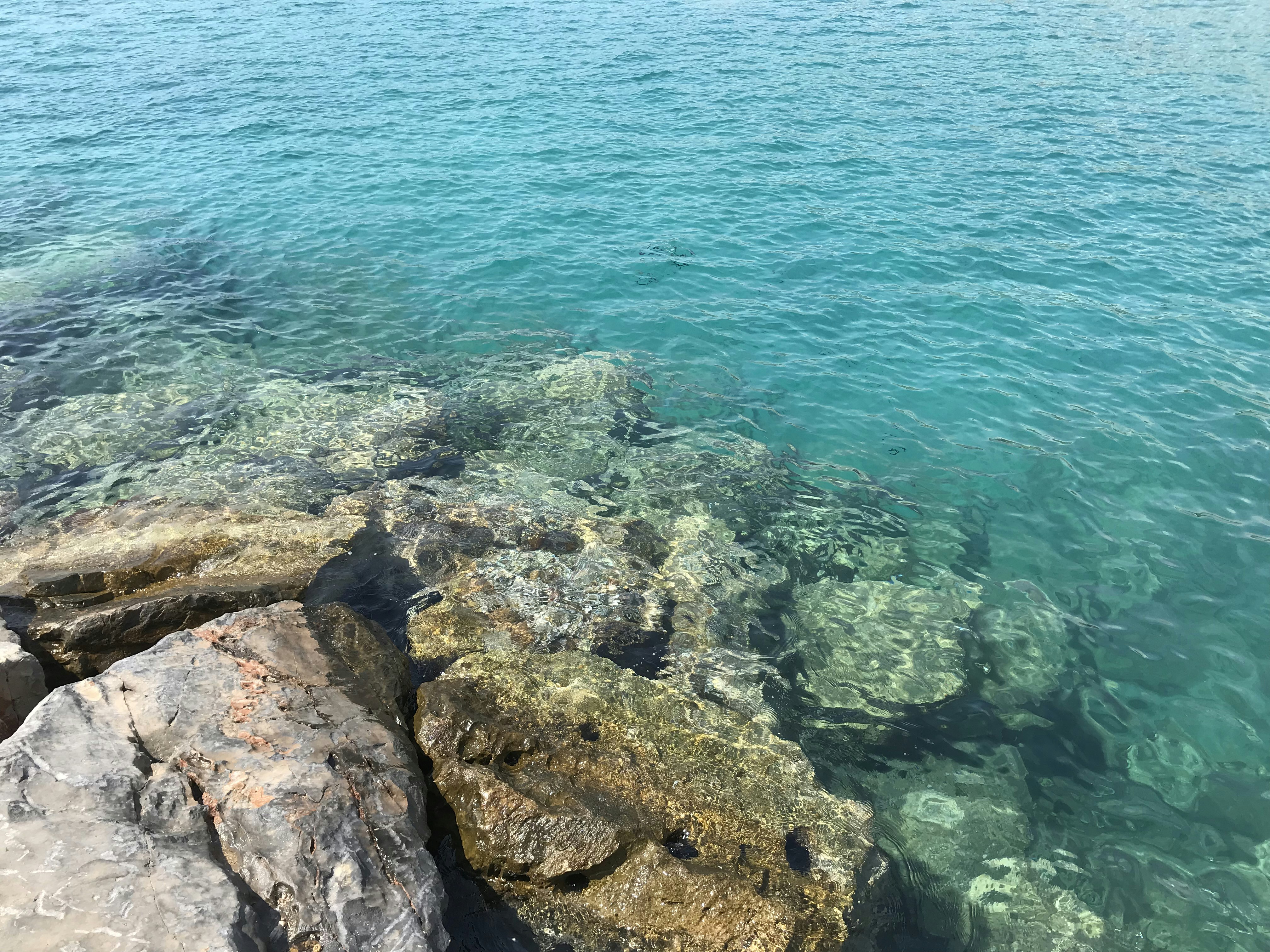 Photo by bearded_oxon