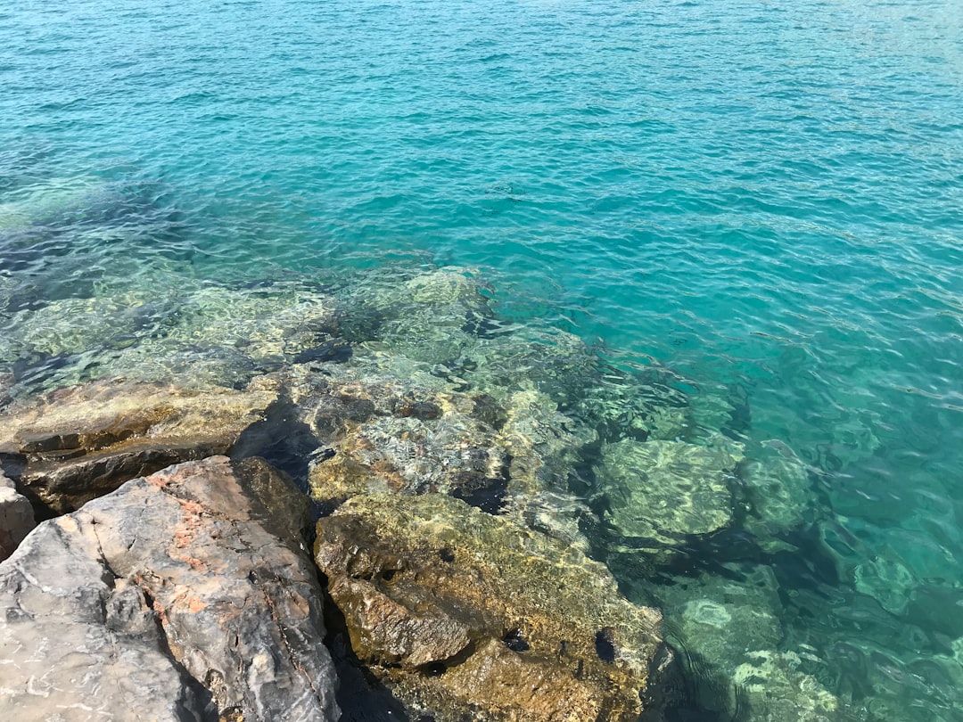 photo of Crete Shore near Aghia Fotia Beach