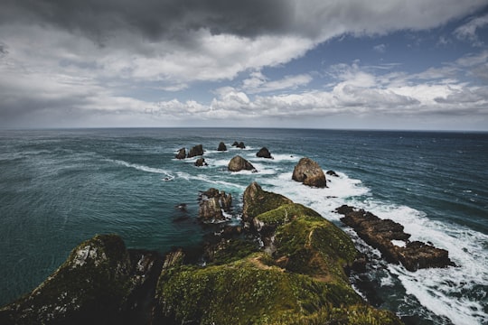 rocky shore under cloudy sky during daytime in Nugget Point New Zealand