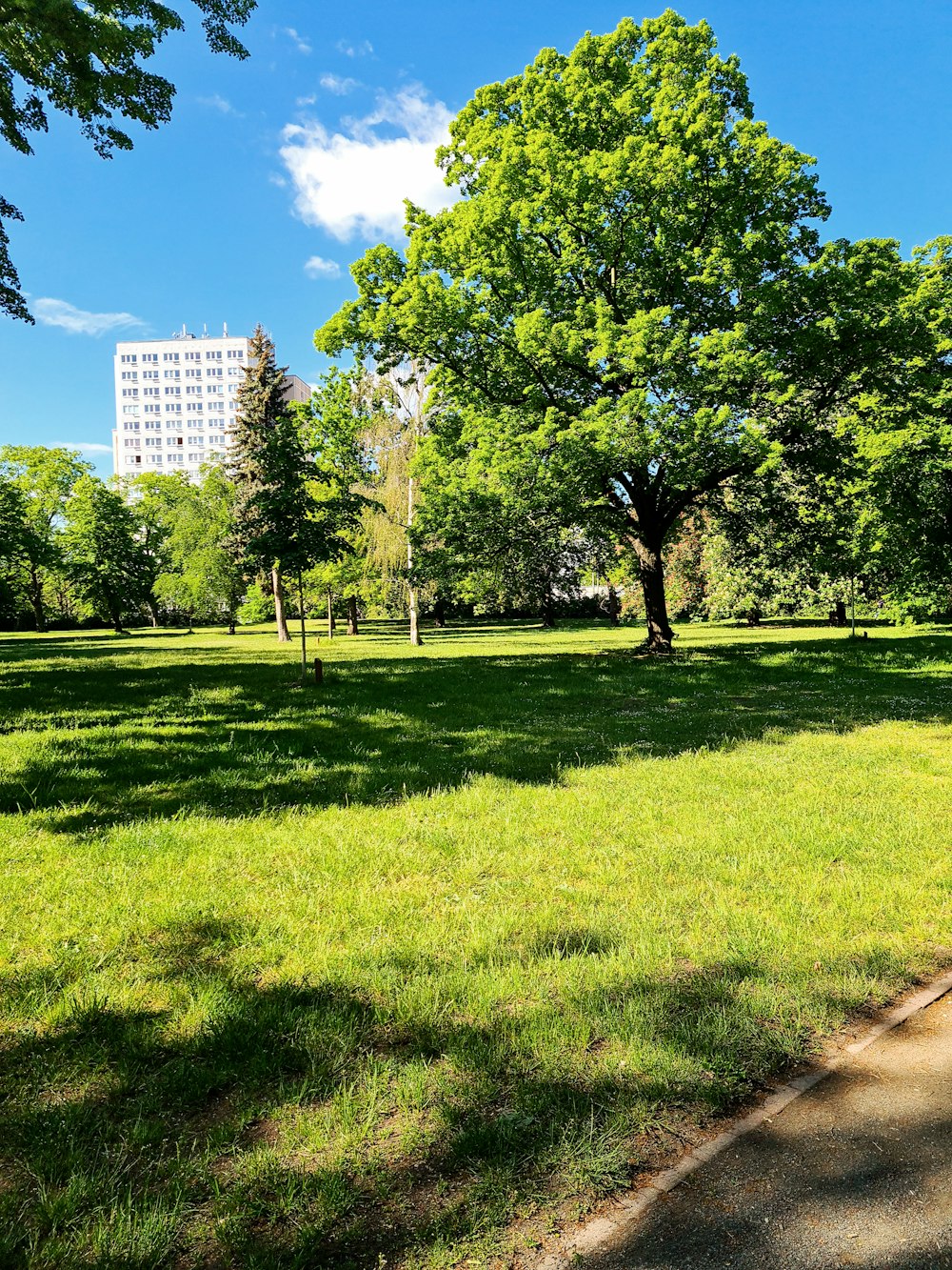 green grass field with trees and high rise buildings in distance