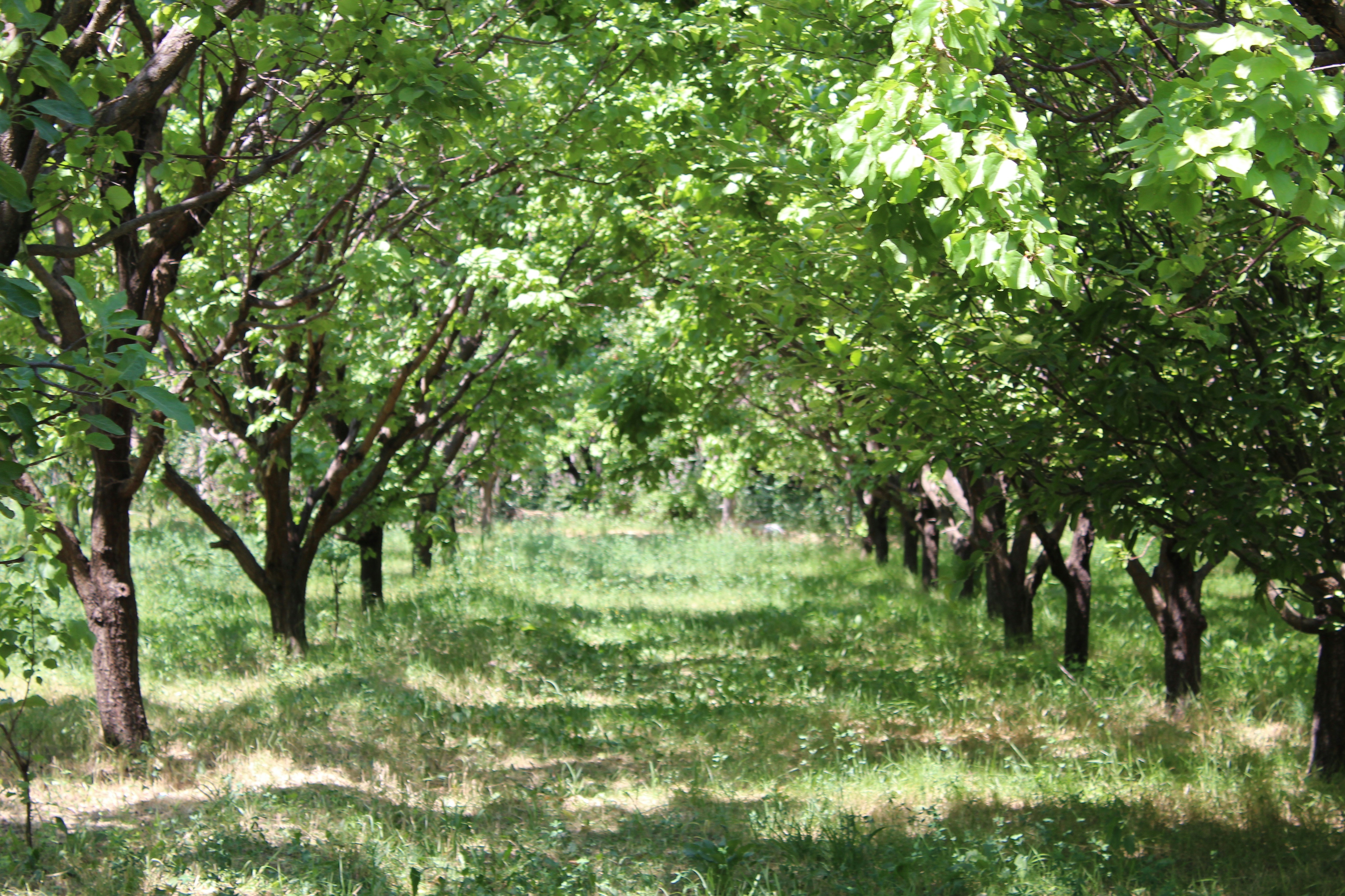 Photo by tanyasyf_10