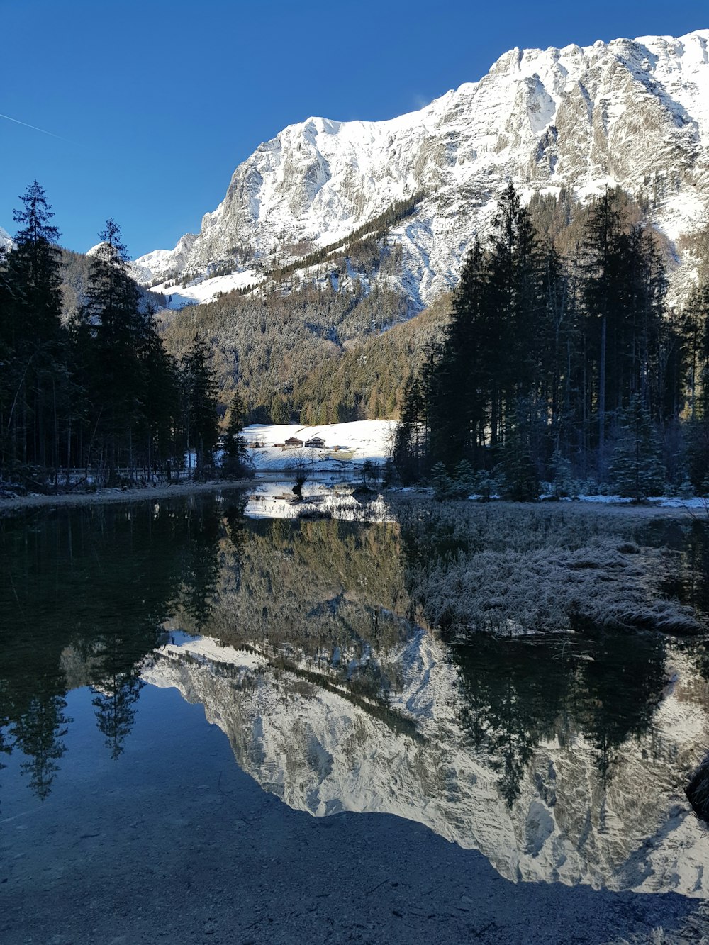 green trees near lake and snow covered mountain during daytime