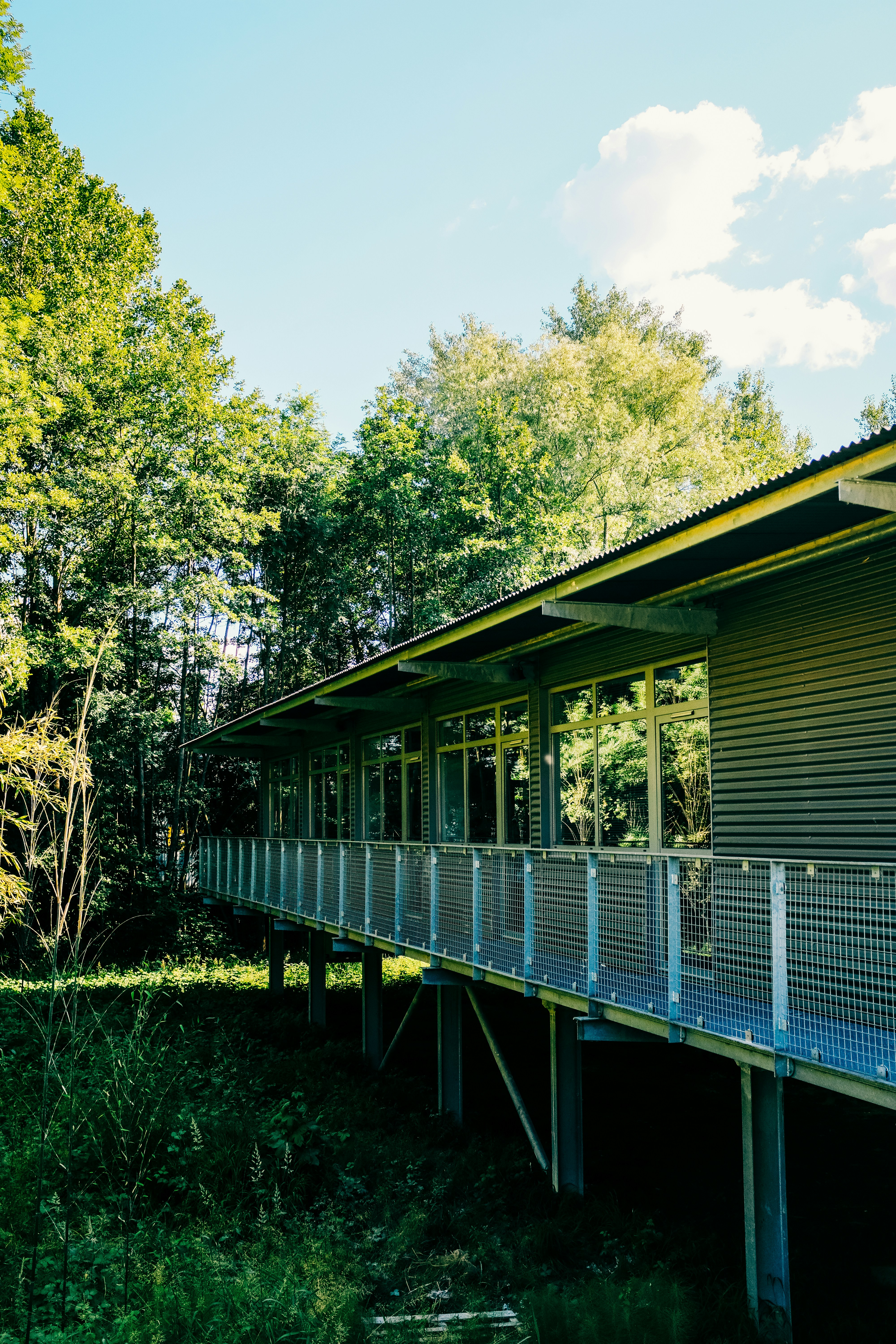 Photo by adrienolichon