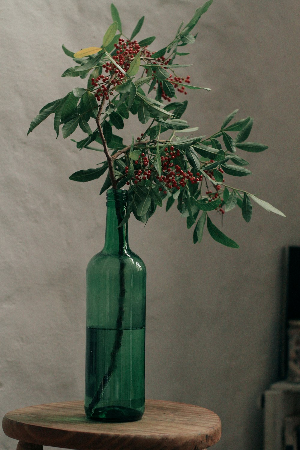 緑のガラスの花瓶に赤と緑の植物