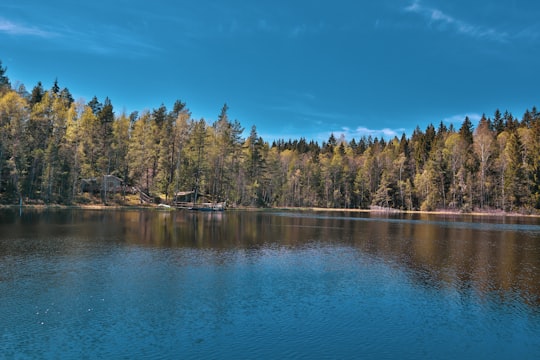 photo of Sipoonkorpi National Park Lake near Helsinki