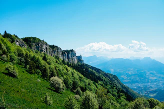green trees on mountain under blue sky during daytime