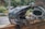 Close-up of a motorcycle helmet and gloves placed on a wooden bench outdoors.