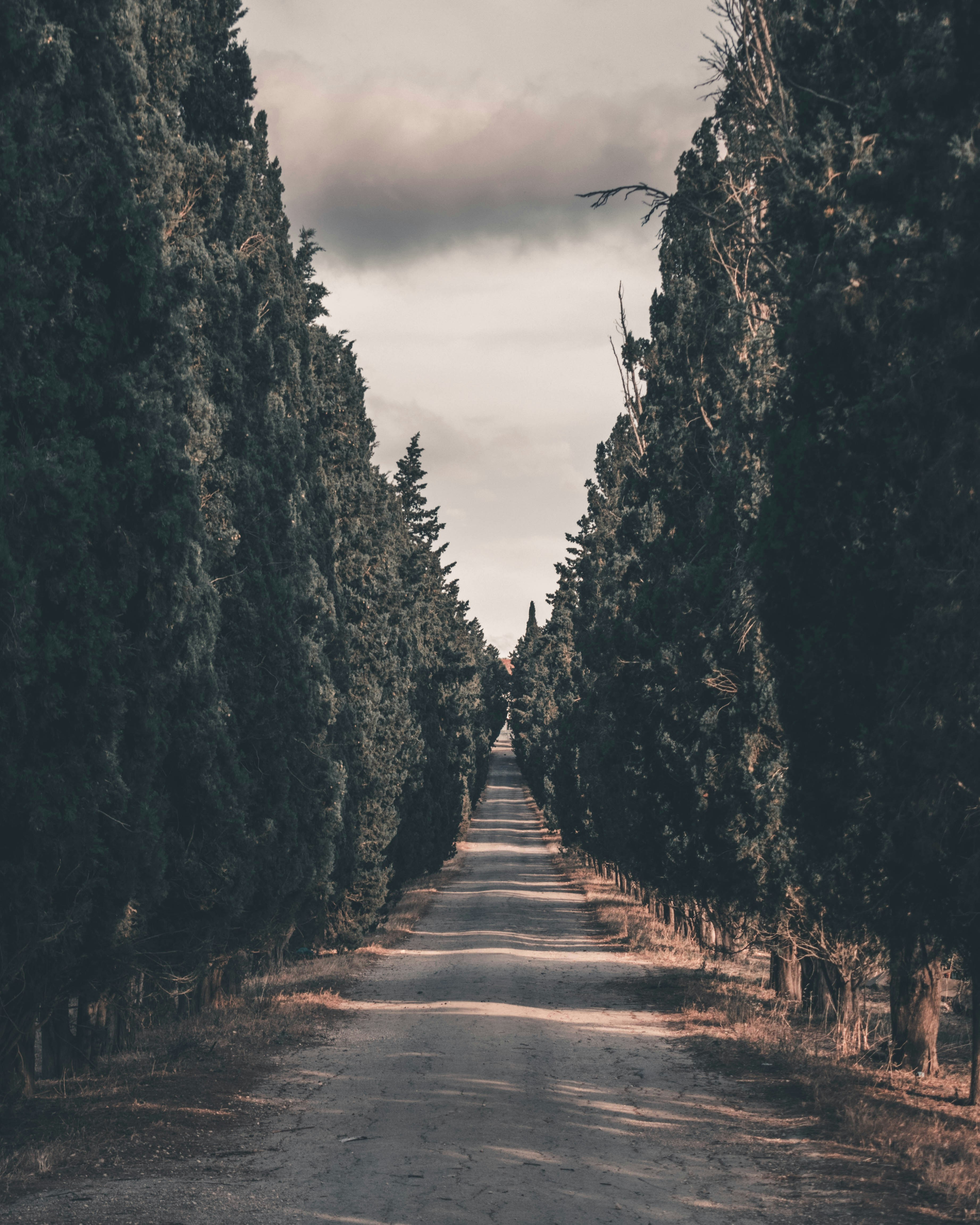 Photo by bilal_ayadi