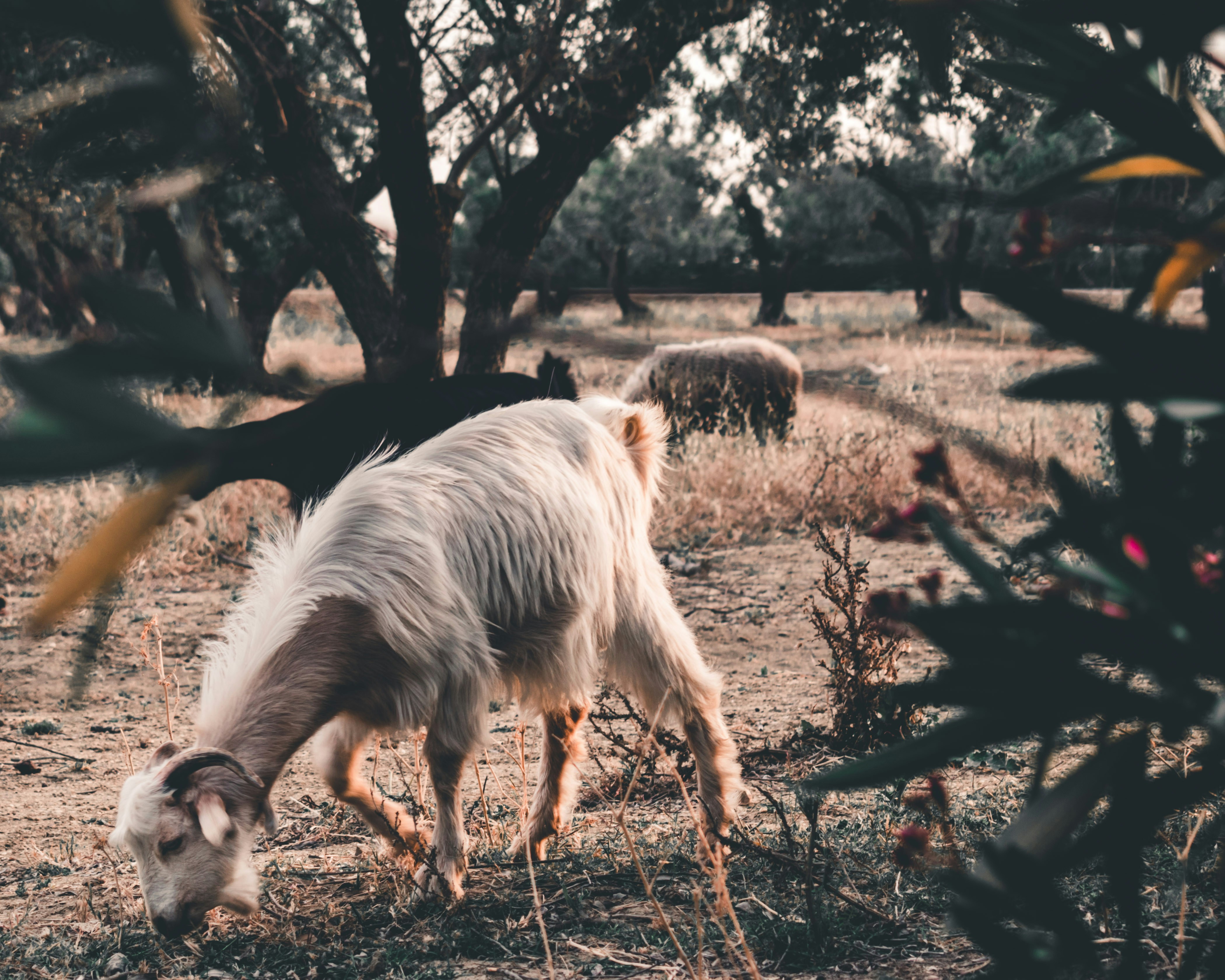 Photo by bilal_ayadi