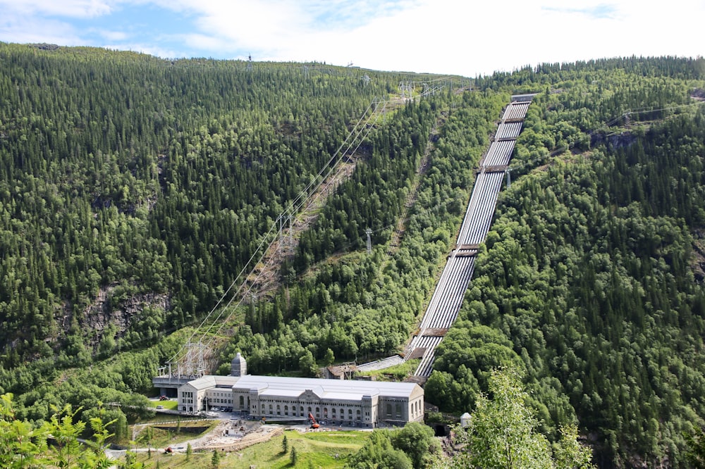 árvores verdes e construção de concreto branco durante o dia