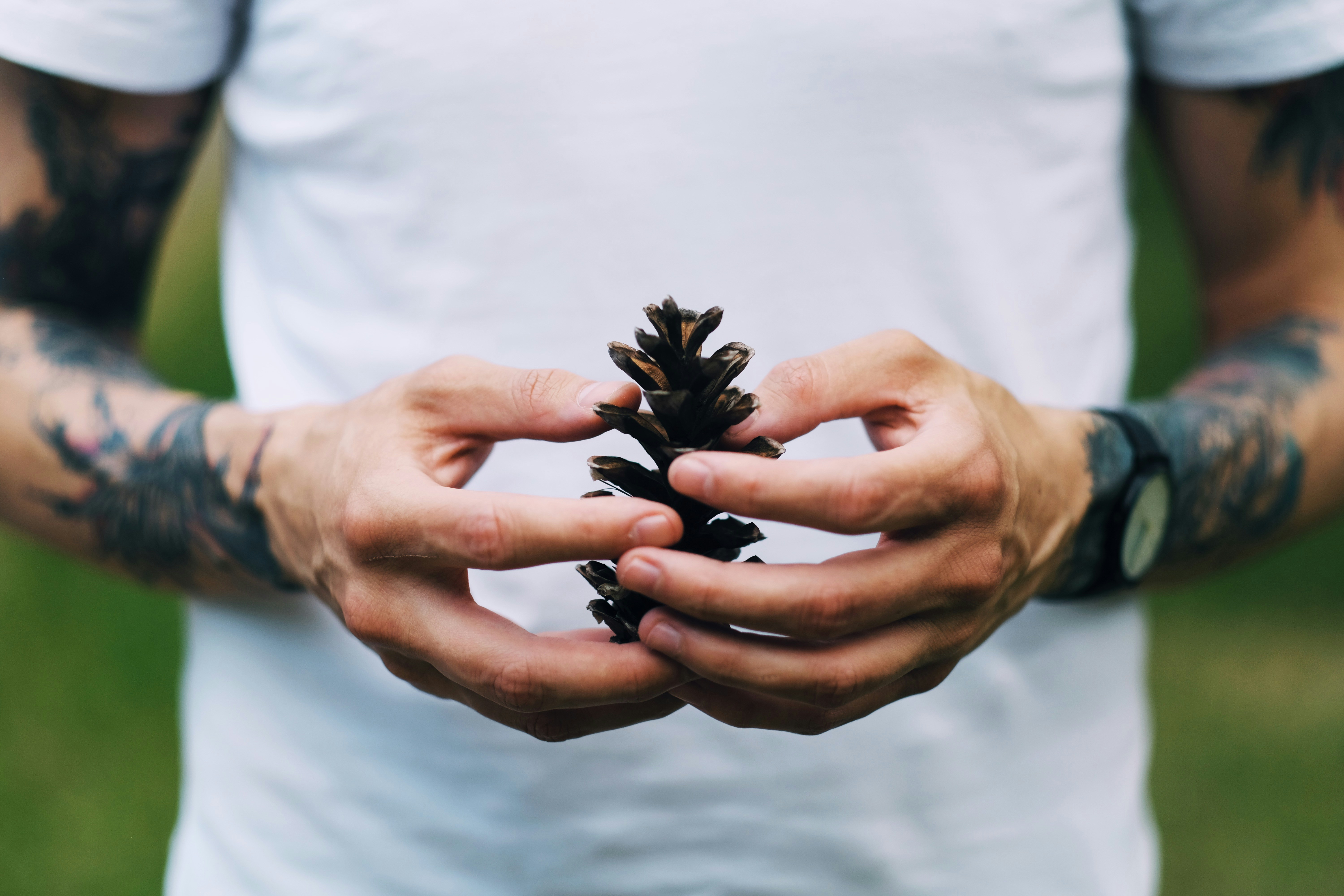 Photo by madalincosmin