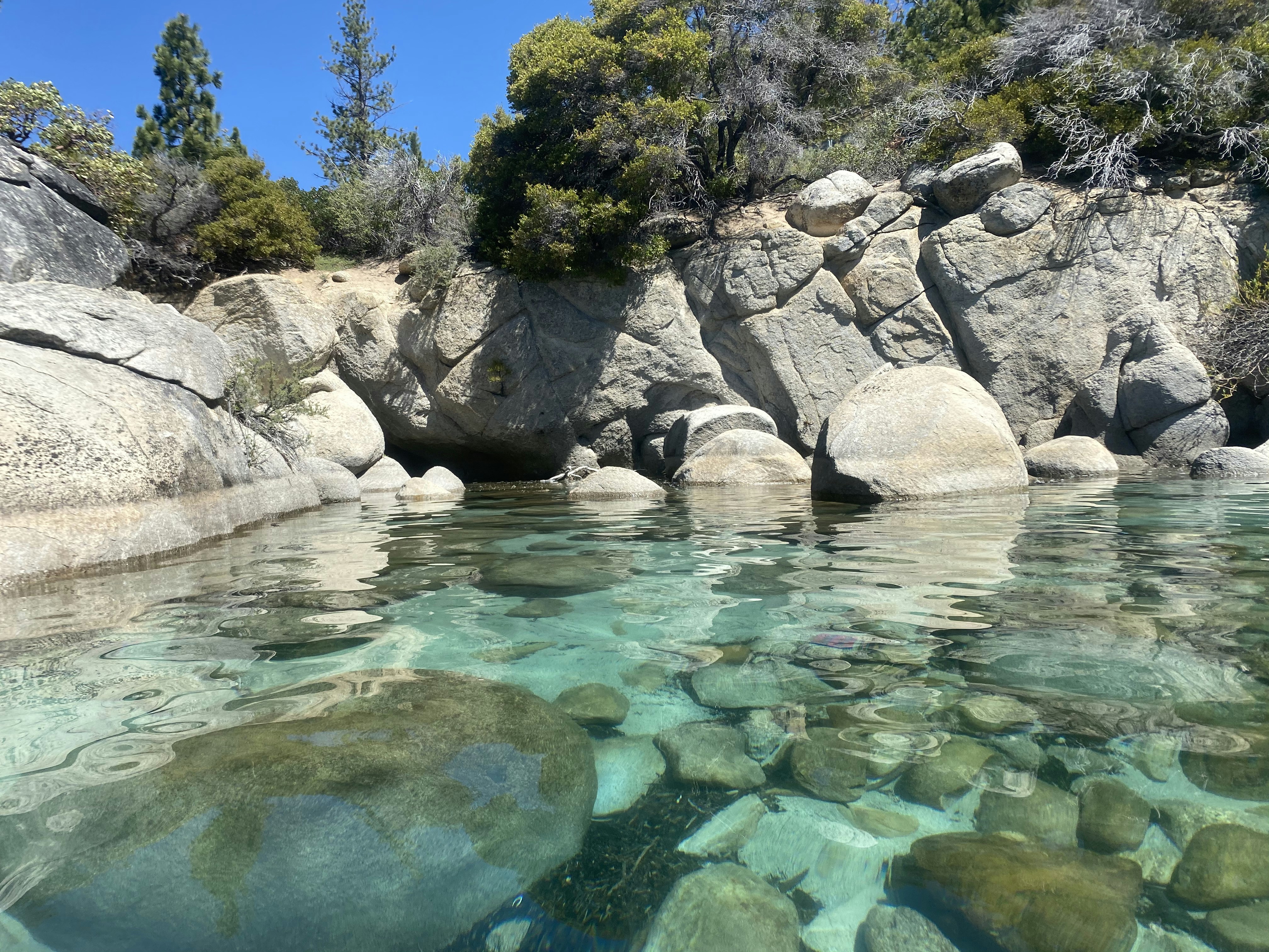 Washoe Guides