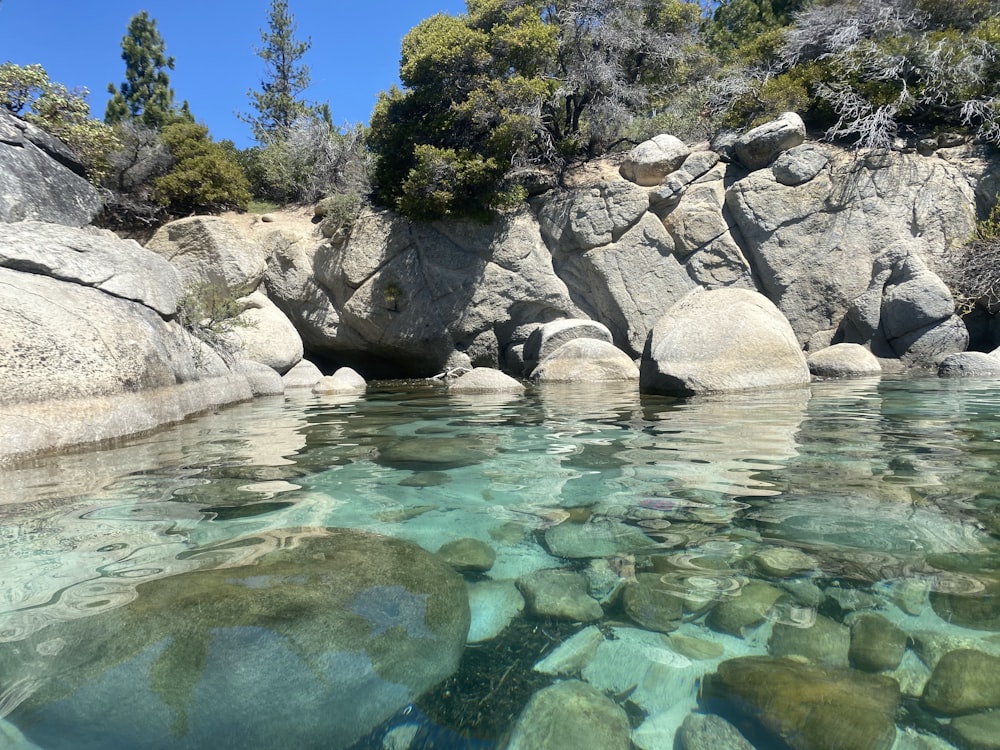 green body of water near gray rocks during daytime